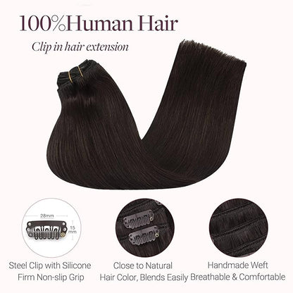 Clip in Hair Extensions Real Human Hair for Women Dark Brown