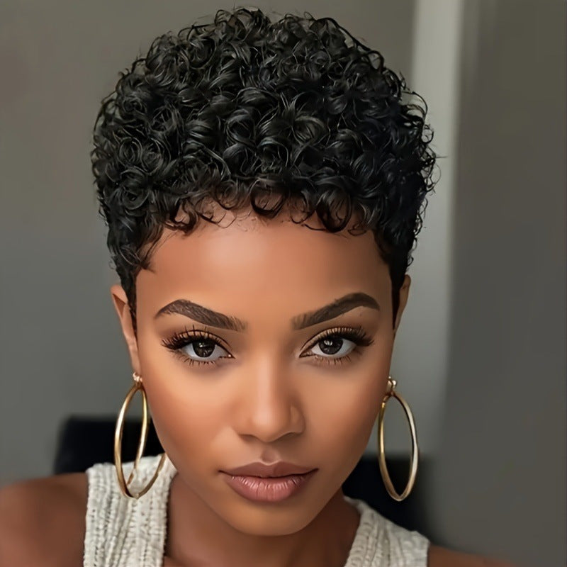 Pixie Cut Wigs Human Hair Wig For Black Women Short Afro Curly Machine Made Wigs Natural Lookings