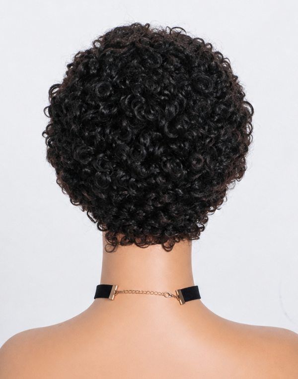 Natural Edges - Pixie Cut Short Kinky Curly Glueless Invisible Swiss Lace Wig Human Hair with HD Lace
